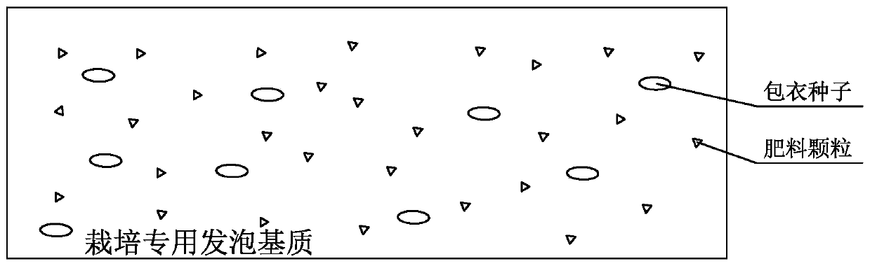 Preparation method of foam base material special for cultivation and cultivation method