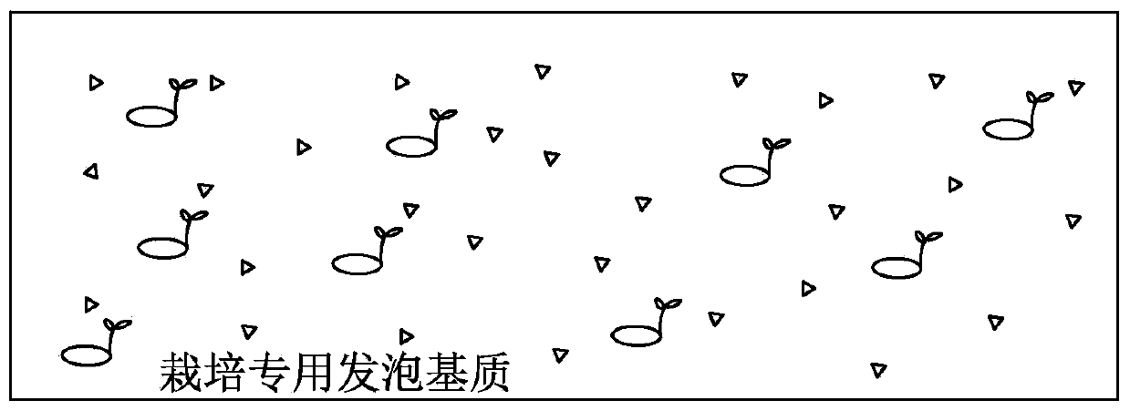 Preparation method of foam base material special for cultivation and cultivation method