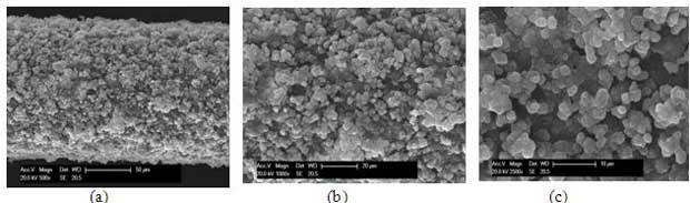 6-kinetin molecularly imprinted polymer and application thereof