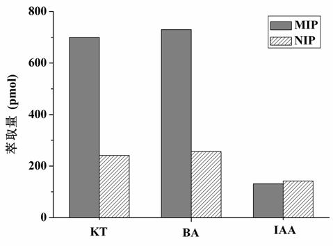 6-kinetin molecularly imprinted polymer and application thereof