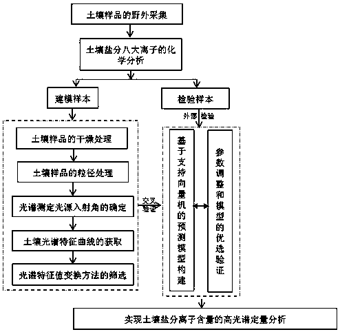 Monitoring method of salt ion content in salinized soil based on hyperspectral technology