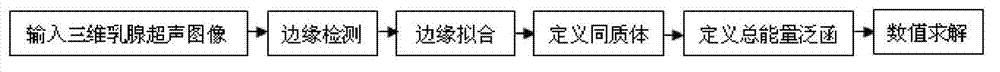 Three-dimensional mammary gland ultrasound image partition method based on homoplasmon and partial energy