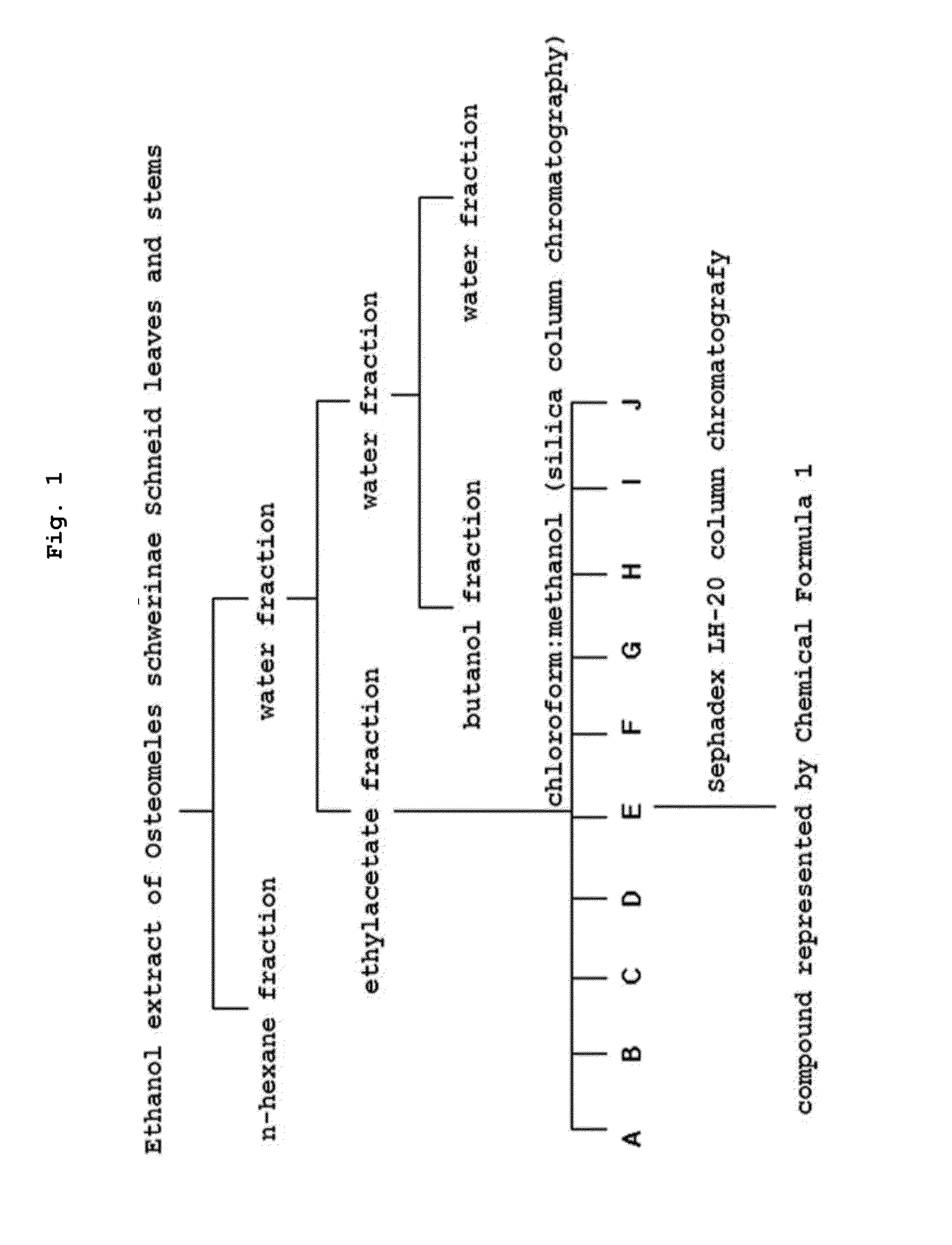 Novel biphenyl compound or pharmaceutically acceptable salt thereof, method for preparing novel biphenyl compound or pharmaceutically acceptable salt thereof, and pharmaceutical composition containing same as active ingredient for preventing or treating diabetes complications