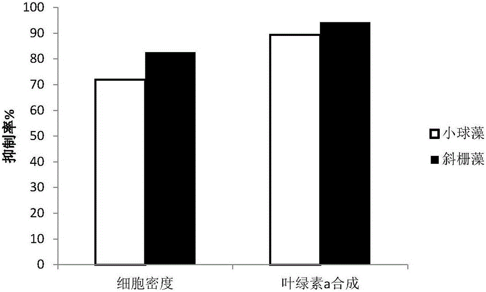 Brown alga polyphenol composition with alga inhibitory activity, and preparation method and application thereof