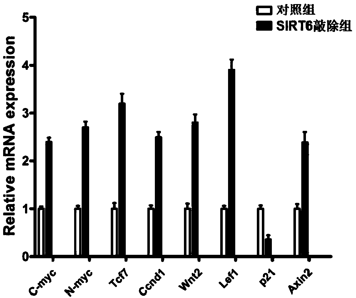 Application of wnt inhibitor in preparation of medicine for treating hematopoietic aplastic disorders