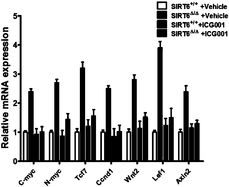 Application of wnt inhibitor in preparation of medicine for treating hematopoietic aplastic disorders