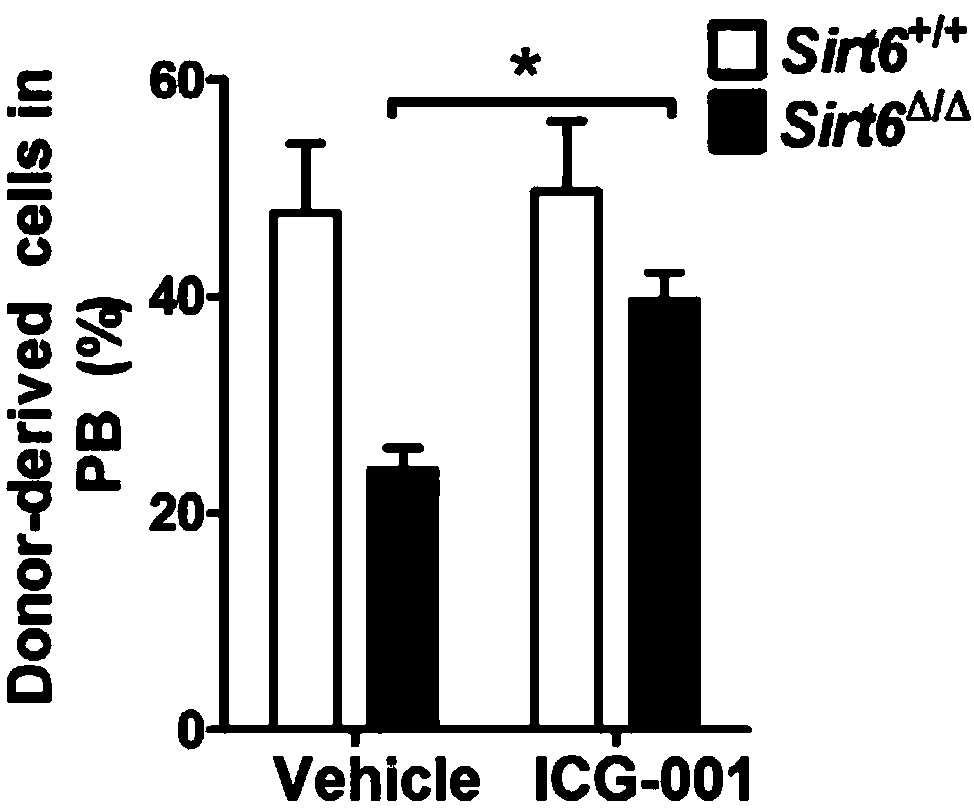 Application of wnt inhibitor in preparation of medicine for treating hematopoietic aplastic disorders