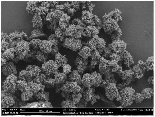 Preparation method of nanocellulose-ZnO conductive hybrid material having P/N heterojunction and used for rapid gas sensing