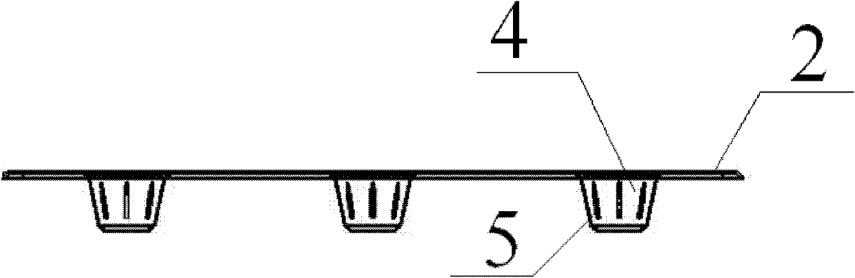 Box-type cultivation device