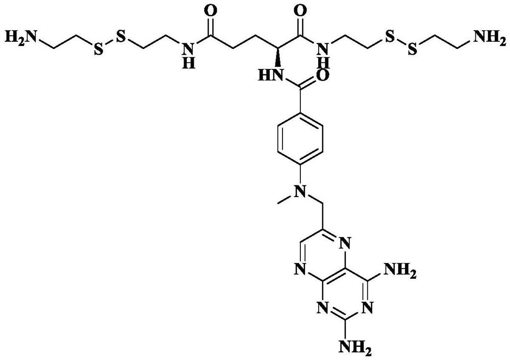 A kind of carrier-free hyperbranched macromolecular polymer and its preparation method