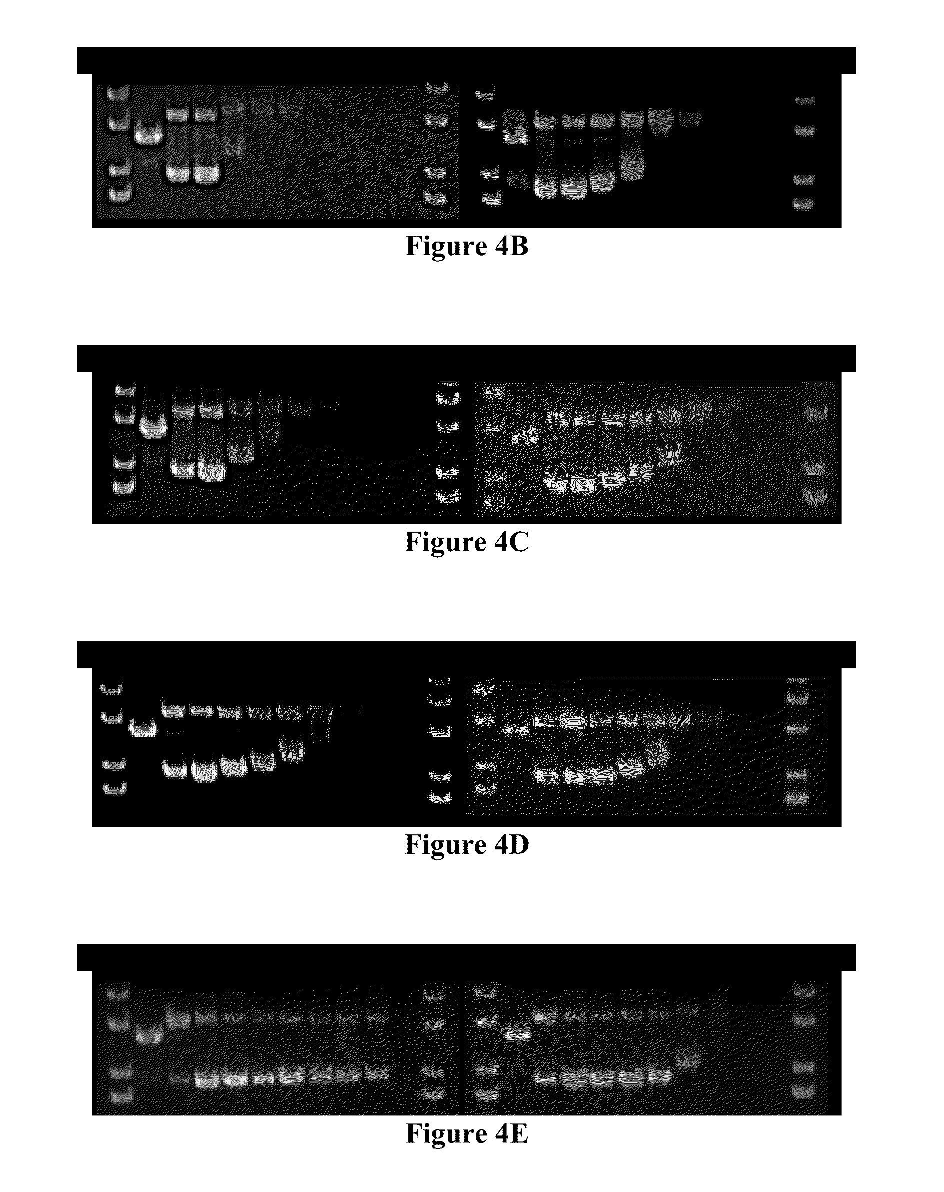 Light-activated compounds