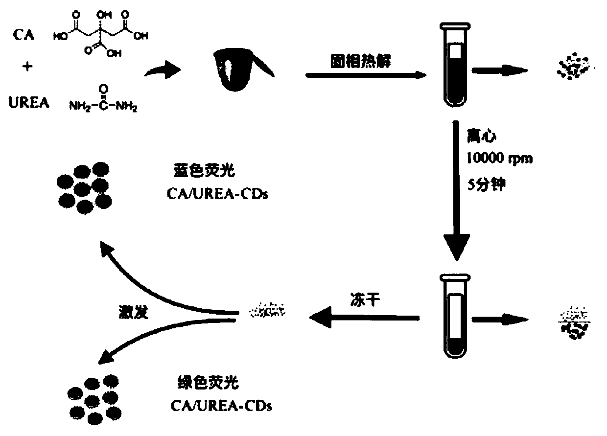 Method for preparing controllable photoluminescence carbon dots by changing temperature