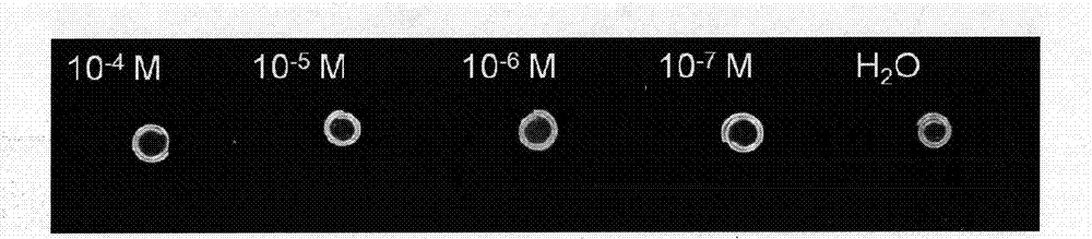 Intelligent bending double hydrogel for visual detection of heavy metal ions and preparation method and application thereof