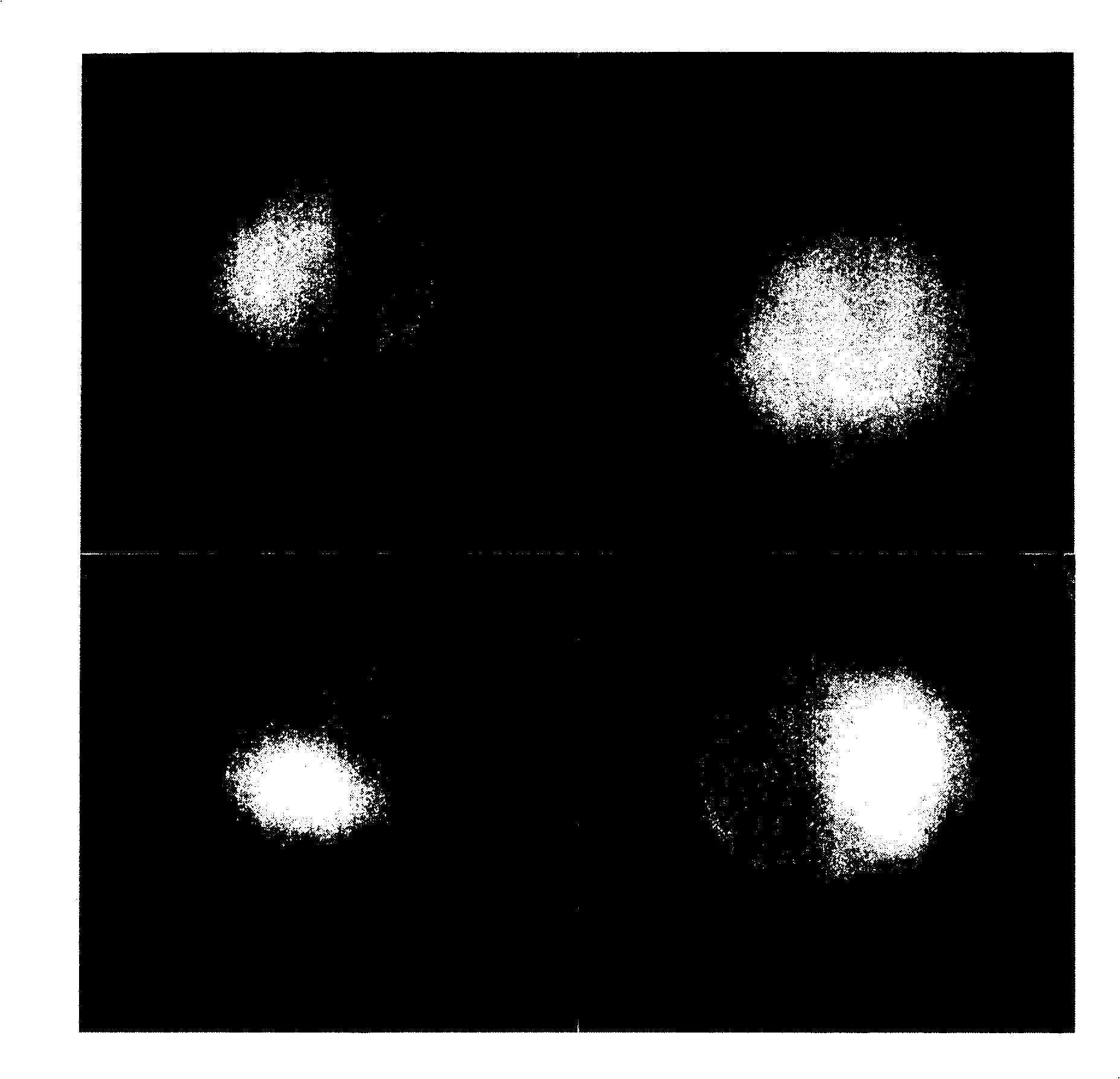 Organic metal carborane target formulation and its preparation method