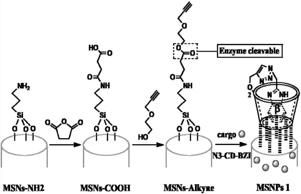 Acidity and lipase double-sensitive nano-container and preparation method thereof