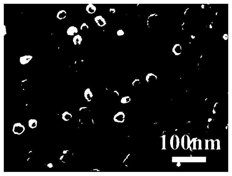 A kind of nano two-phase composite permanent magnet particle and preparation method thereof