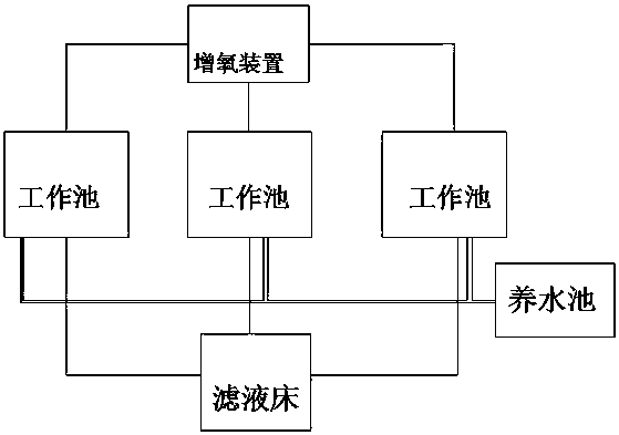 Organic ecological breeding system and technology