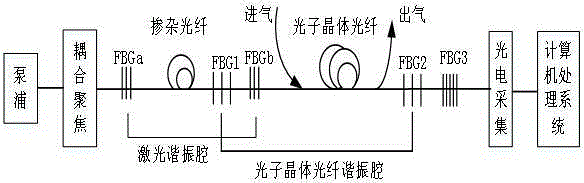 Raman spectral enhancement system and enhancement method based on photonic crystal fiber resonant cavity