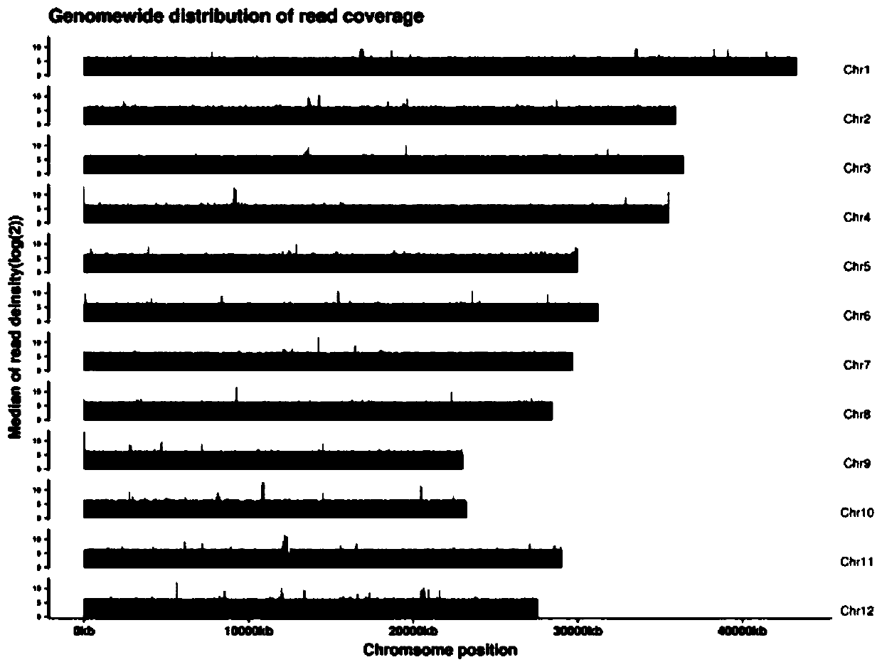 Method for detecting genomic structure variation based on nanopore sequencing