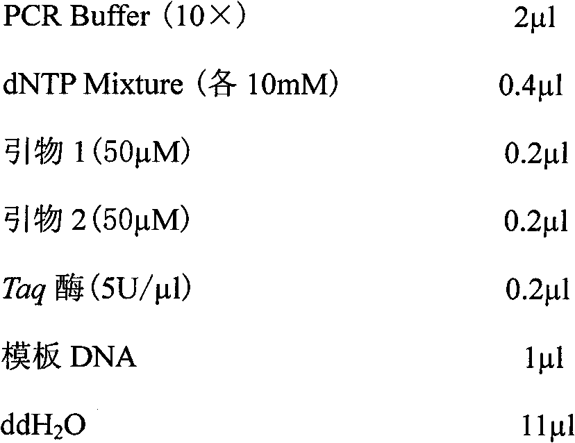 Two CAPs markers tightly linked with muskmelon anti-powdery mildew gene Pm-AN and its application method