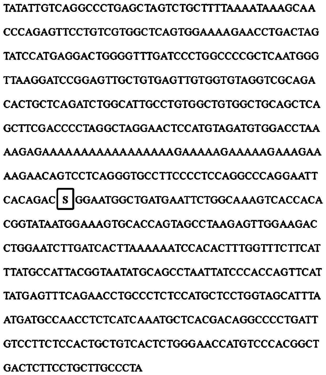 Molecular marking method of fat deposition and meat quality traits of lean meat type Dingyuan pig strain