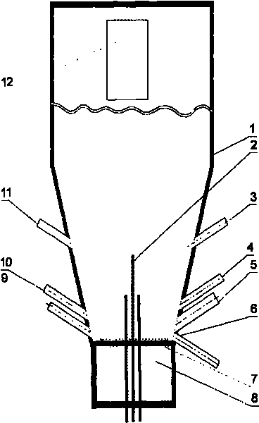 Circulating fluidized bed boiler combusting low calorific value gas fuel