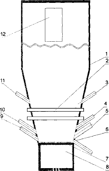 Circulating fluidized bed boiler combusting low calorific value gas fuel