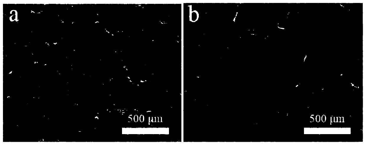 Current collector with solid electrolyte interface phase and production method