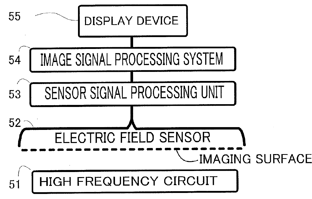 Electric field imaging method