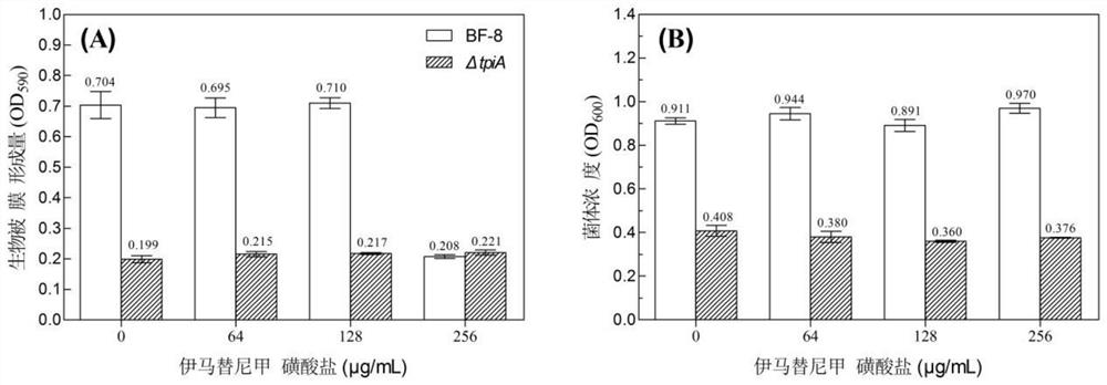 Citrobacter welchii TpiA gene knockout mutant strain and application thereof