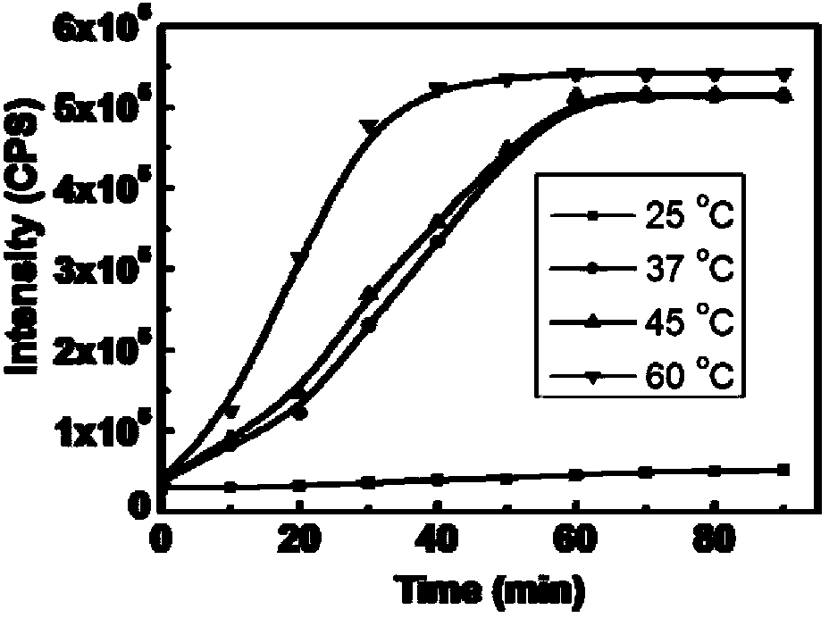 Fluorescent probe for detecting intracellular hydrogen sulfide based on nitroreduction and application thereof