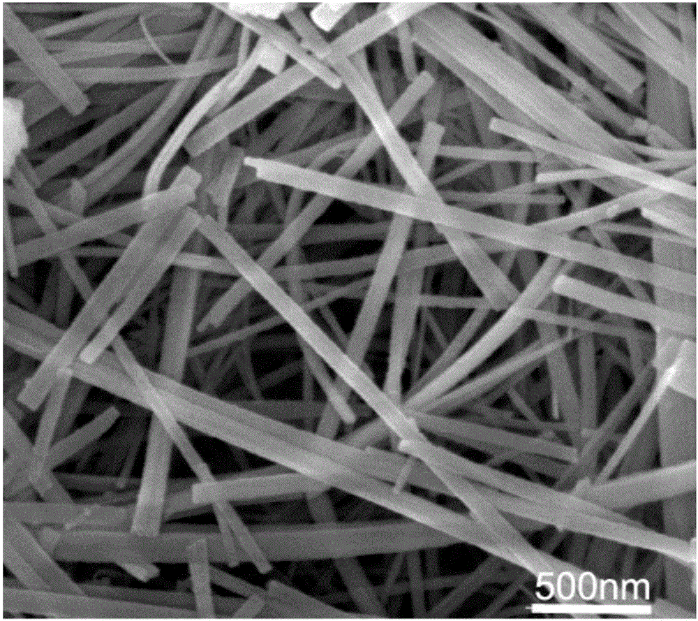 BNT-monocrystal-nanowire-based dielectric composite material and preparation method thereof