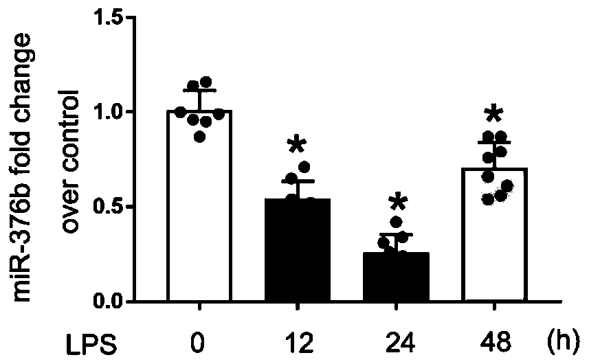 Application of miR-376b and detection kit