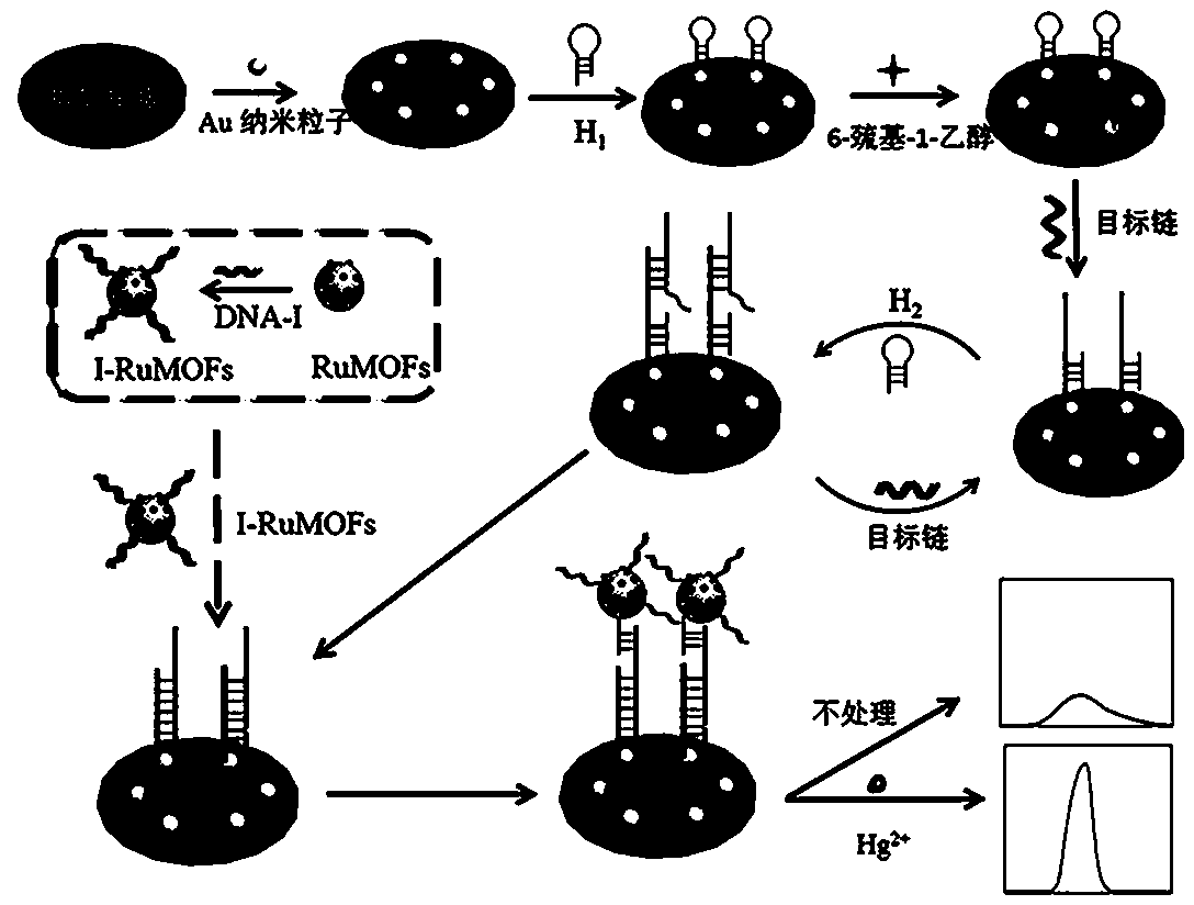 An electrochemiluminescence sensor based on functionalized metal-organic framework materials