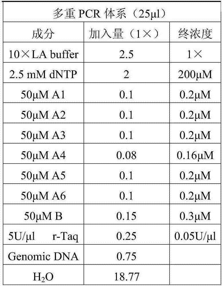 Method for solving allele amplification imbalance during multiplex PCR through base mismatching