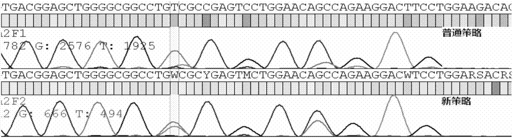 Method for solving allele amplification imbalance during multiplex PCR through base mismatching