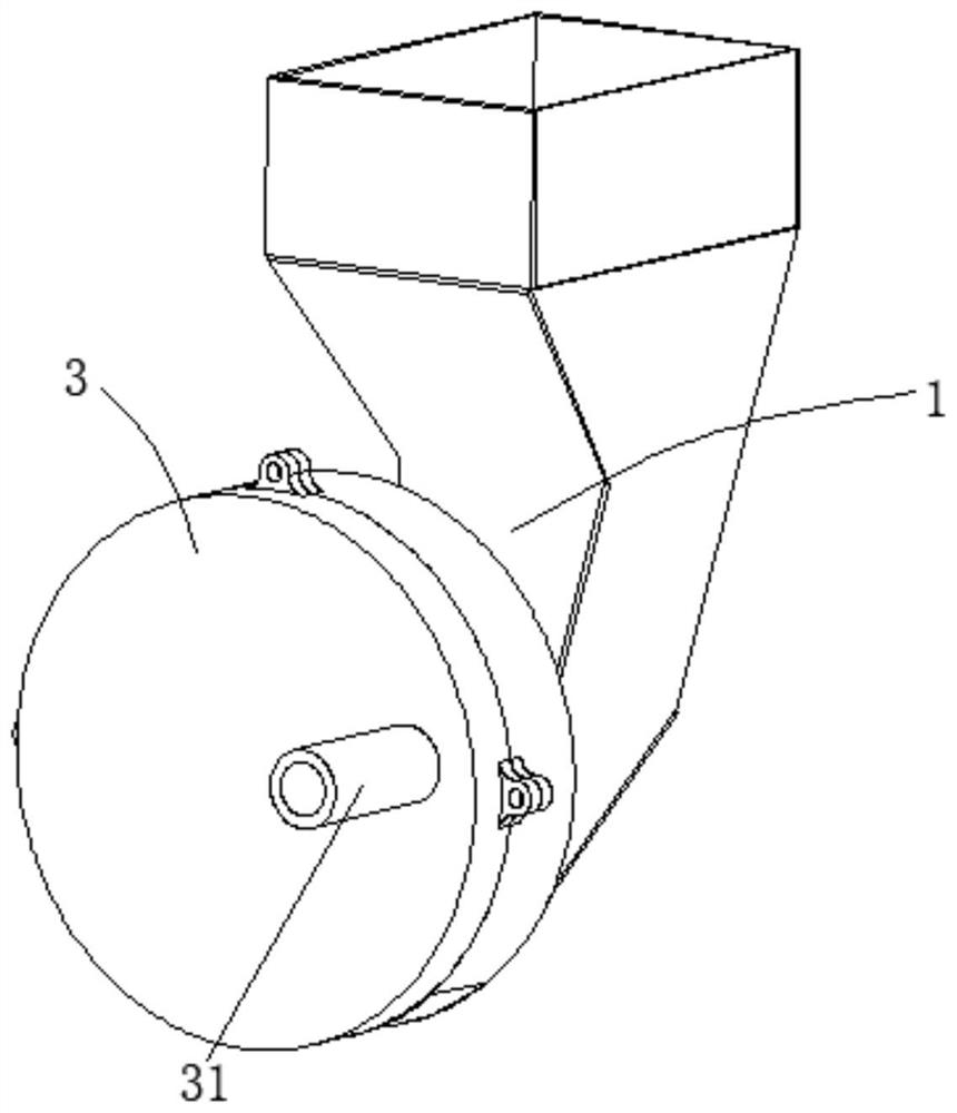 Pneumatic garlic seed sowing device assisted by seed disturbing teeth and seed sowing method