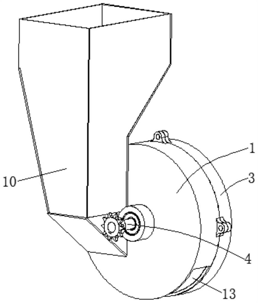 Pneumatic garlic seed sowing device assisted by seed disturbing teeth and seed sowing method