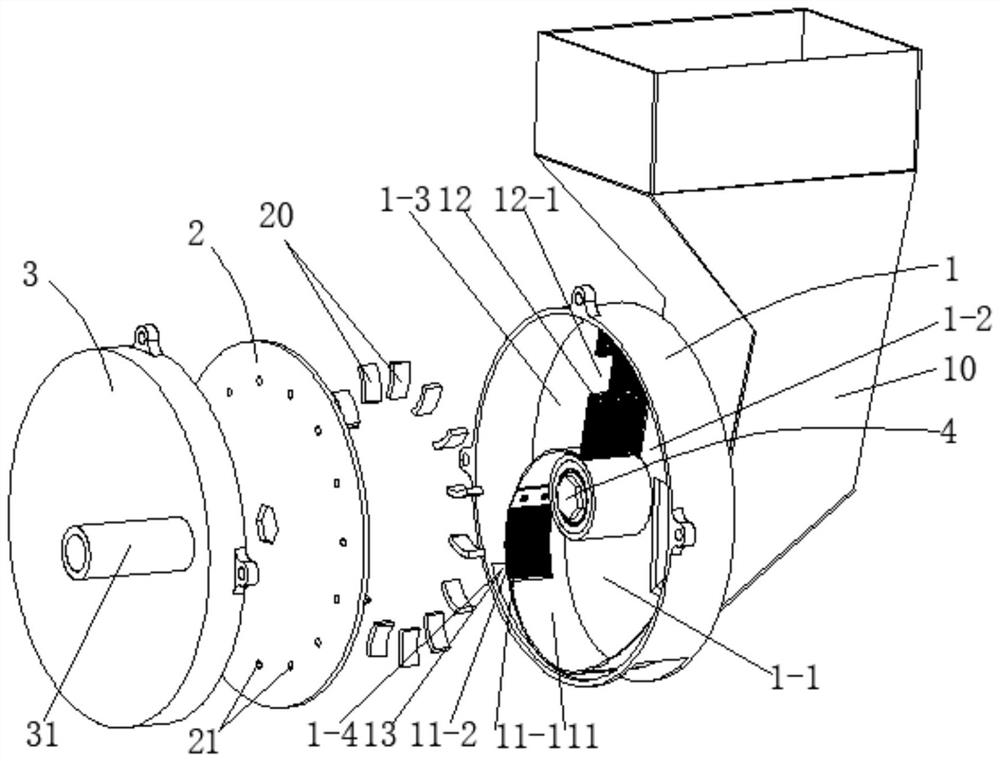 Pneumatic garlic seed sowing device assisted by seed disturbing teeth and seed sowing method