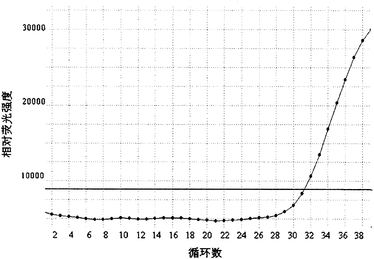 Primer, probe and kit for detecting mutation of 1654 to 1689 sites of C-KIT gene