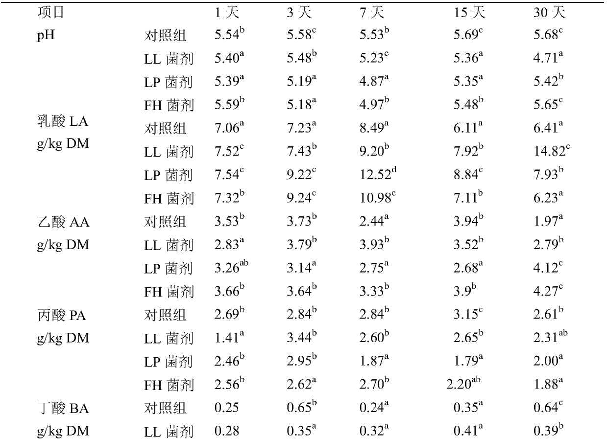 Lactic acid bacteria microbial inoculant applicable to myriophyllum quaticum silage, and preparation method and application of lactic acid bacterium inoculant