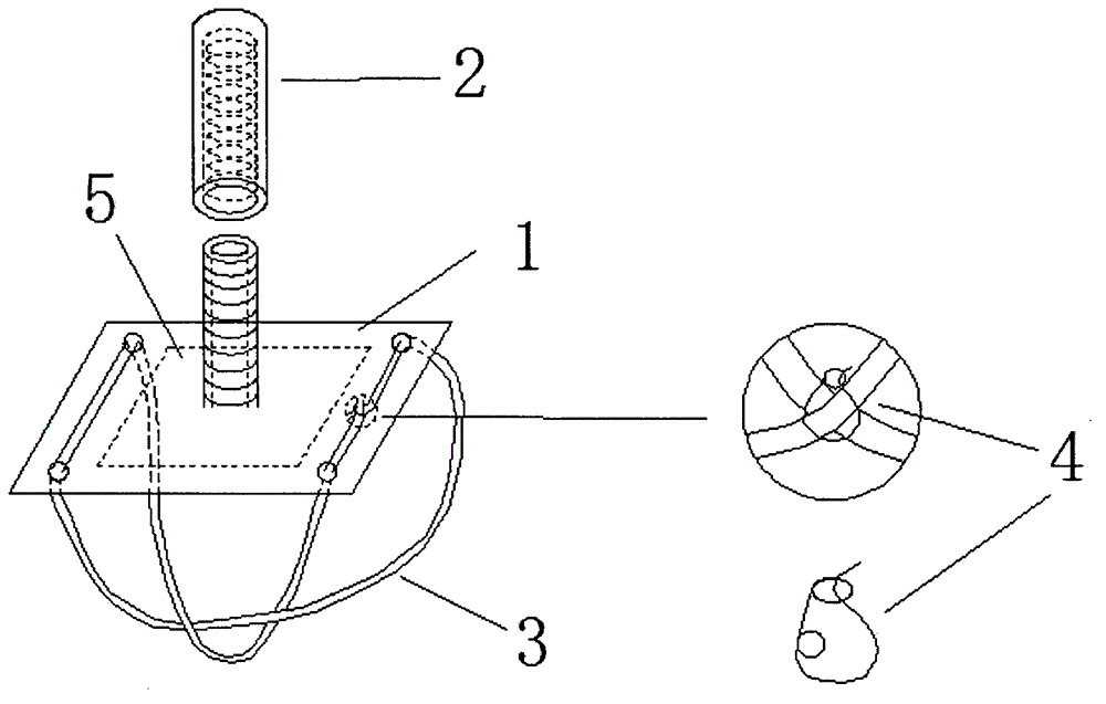 Miniature administration and blood sampling system of jugular vein of rat