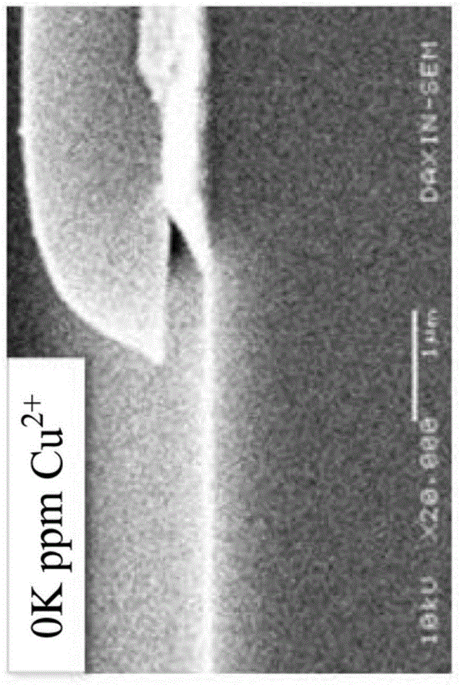 Etching liquid composition and etching method