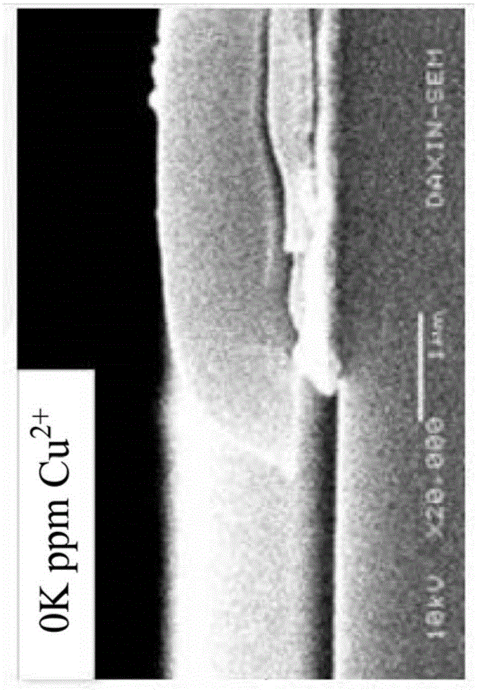 Etching liquid composition and etching method