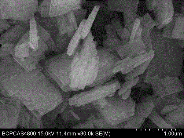 Preparation method and application of SAPO-34 molecular sieves with flaky morphology