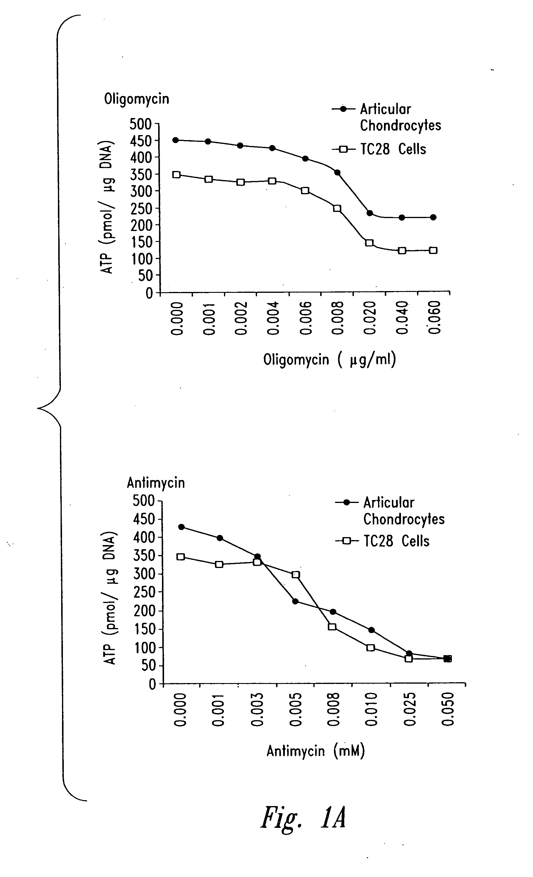 Methods and compositions for diagnosing and treating arthritic disorders and regulating bone mass