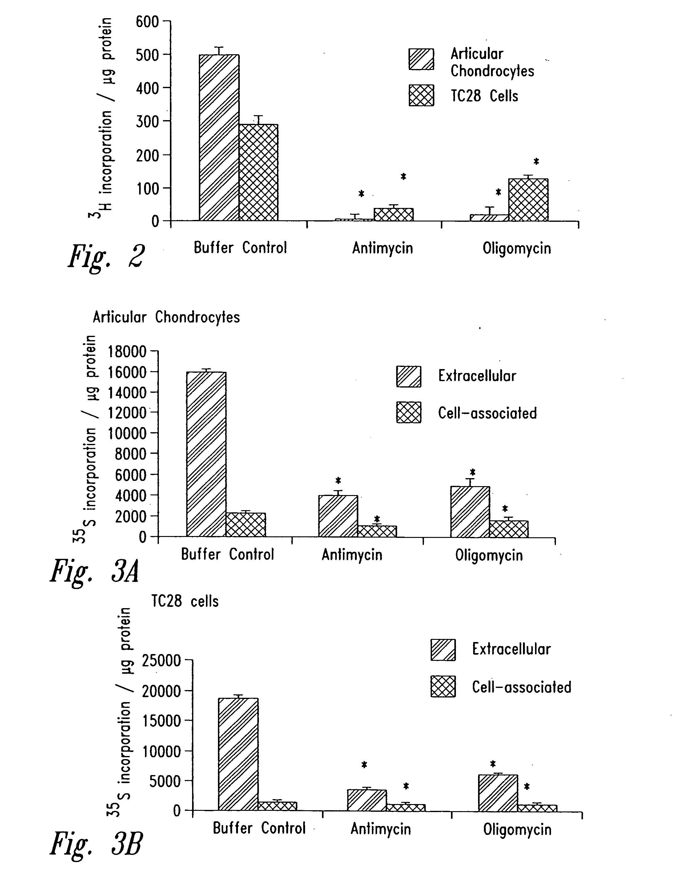 Methods and compositions for diagnosing and treating arthritic disorders and regulating bone mass