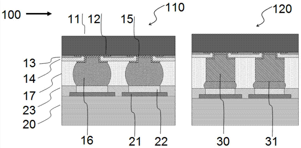 Electronic device interconnection body