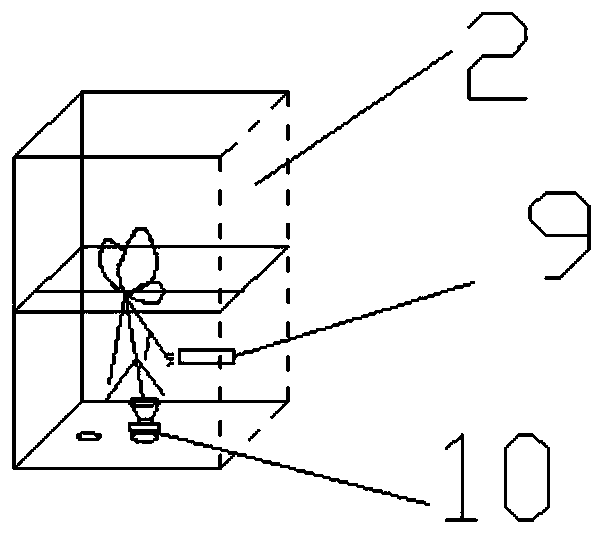 Root droplet attachment area detection device and method based on low-field nuclear magnetic resonance and optical fiber detection