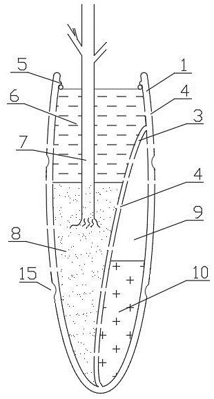 Plant growing device and construction method